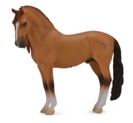 Campolina stallion XL 1:20 CollectA 88701