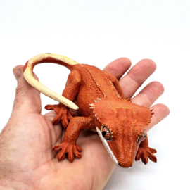 Crested Gecko  S100344