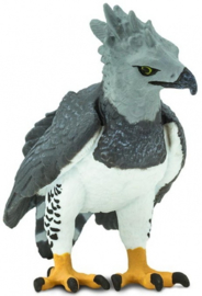 Harpy Eagle   S150929