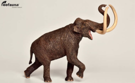 Mammoth       Mammuthus  trogontherii Eofauna