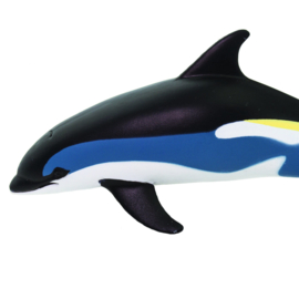 Dolfijn   S100366