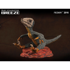 Utahraptor  baby Breeze Rebor