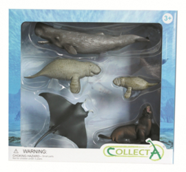 CollectA Geschenkdozen