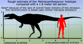 Metriacanthosaurus  CollectA 88741