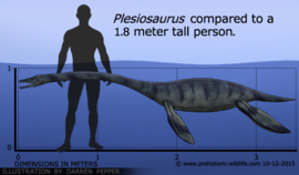 Plesiosaurus  Papo 55021