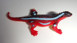 Red-blue iguana  mini