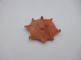 Flapjack octopus Kaiyodo