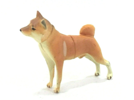 Shiba inu Furuta  hond