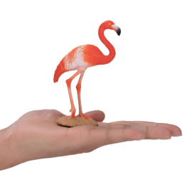 Rode flamingo  Mojo 387134