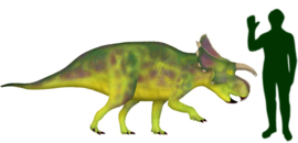 Furcatoceratops  CollectA 80025