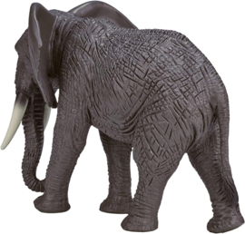 Elephant  African   Mojo 387189
