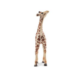 Giraffe  kalf  Toymany