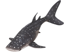 Whale shark  Mojo 387278