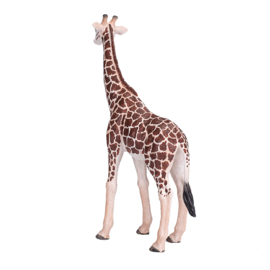 Giraffe mannetje Mojo 381008