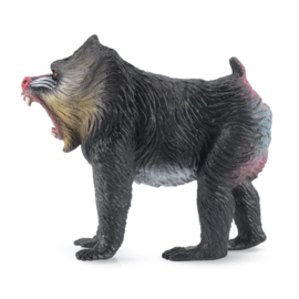 Mandril