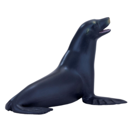 Californian sealion  Mojo 387115