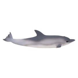 Dolphin    Mojo 387358