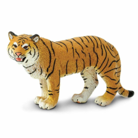 Bengaalse tijger  wijfje   S294529