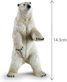 Polar Bear standing