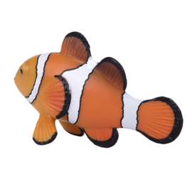 Clown fish  Mojo 387090