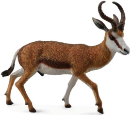 Springbok     CollectA 88684