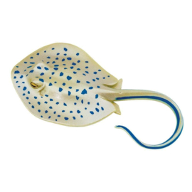 Blue spotted ray  S267329