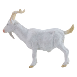 Billy goat Mojo 381136