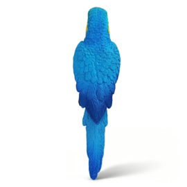 Blauw-gele ara (Ara ararauna)