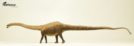 Diplodocus | EoFauna  nu leverbaar