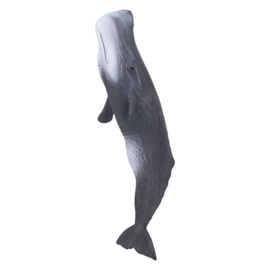 Sperm whale  Mojo 387210