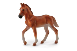 Peruan foal CollectA 88751