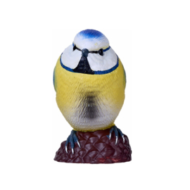 Blue tit  Mojo   available
