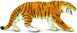 Bengal Tiger   S270829