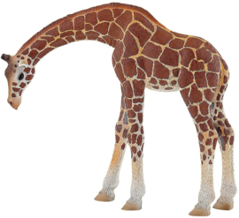 Giraffe  Bullyland  63668