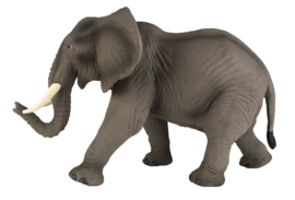 Elephant African   S270029