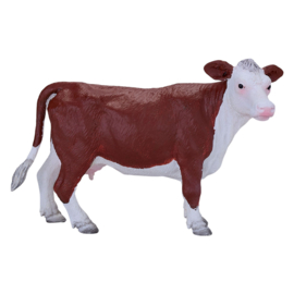 Hereford koe Mojo 381074