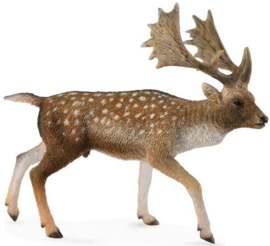 Fallow deer  CollectA 88685