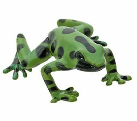 Green and black poison frog Colorata