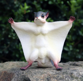 Flying squirrel