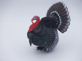 Turkey  XL