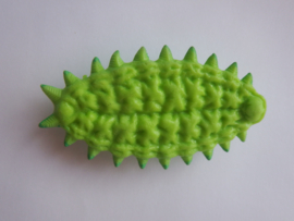 Slug caterpillar moth  XL