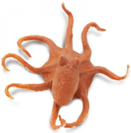 Octopus  (rood)   S274429
