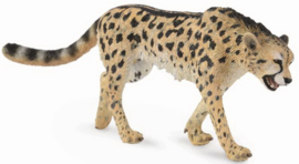 Cheetah  (King-)   CollectA 88608