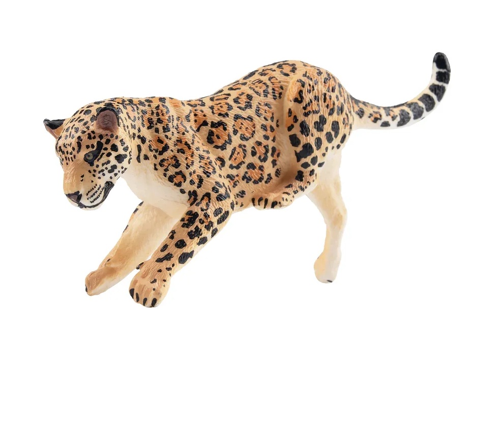 Jaguar (vrouwtje) op boomstam  Toymany