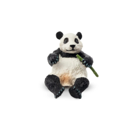 Reuzenpanda jong Toymany