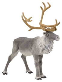Reindeer  Papo 50117