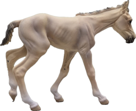 Buckskin Roan Mustang merrie en veulen