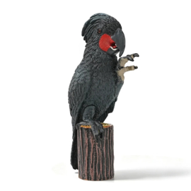 Zwarte of palm kaketoe