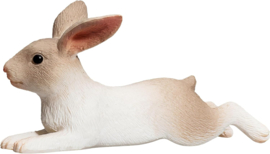 Rabbit lying  Mojo 387142