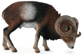 Mouflon  CollectA 88682